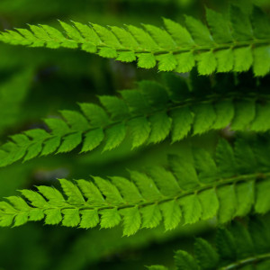 Dengarkan lagu Magnolia nyanyian Lightning, Thunder and Rain Storm dengan lirik