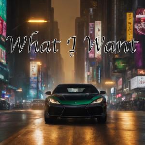 收聽SHELOVEDREW的What Į Want (Explicit)歌詞歌曲