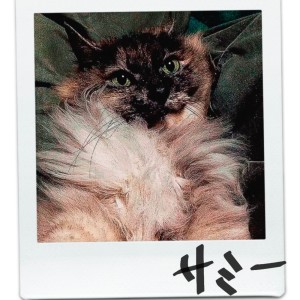 Listen to サミー song with lyrics from 涼平