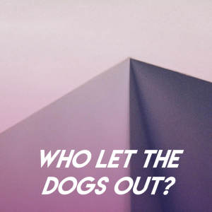 Champs United的专辑Who Let the Dogs Out?