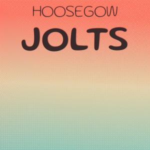 Various Artists的專輯Hoosegow Jolts