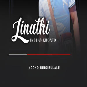 收聽Linathi Indlamkhonto Hadebe的Ncono Ningibulale (feat. Ndabezinhle)歌詞歌曲
