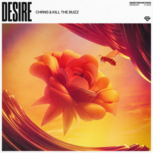 CHRNS的專輯Desire