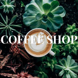 ดาวน์โหลดและฟังเพลง SIEMPRE LO MEJOR พร้อมเนื้อเพลงจาก Musica de Fondo