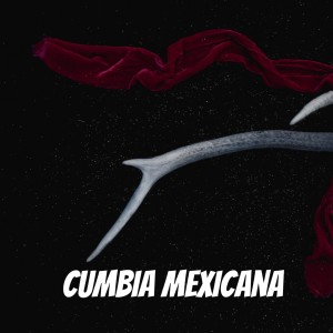 Listen to Vive y Déjame Vivir song with lyrics from Banda Cuisillos