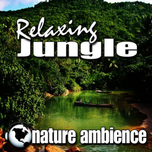 ดาวน์โหลดและฟังเพลง Exploring the Jungle for Thoughtful Meditation and Relaxation (Nature Sound) พร้อมเนื้อเพลงจาก Nature Ambience