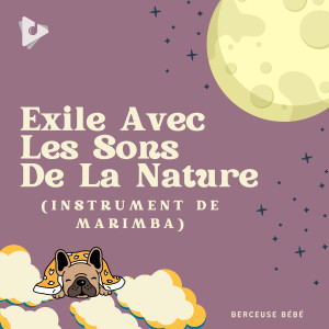 Musique pour Enfants Dodo的專輯Exile Avec Les Sons De La Nature (Marimba Instrumental)