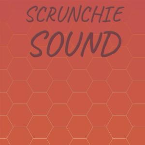 Various的专辑Scrunchie Sound