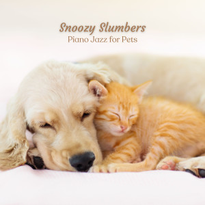 Early Morning Jazz的專輯Snoozy Slumbers: Piano Jazz for Pets