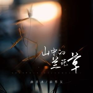 Album 山中的兰花草 from 曲肖冰
