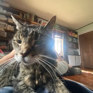 ดาวน์โหลดและฟังเพลง Make it! (Explicit) พร้อมเนื้อเพลงจาก PeaXIII