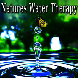 อัลบัม Natures Water Therapy ศิลปิน Wildlife Bill