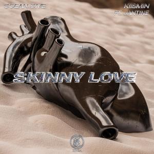 Album Skinny Love (feat. Jantine) from Kiismin