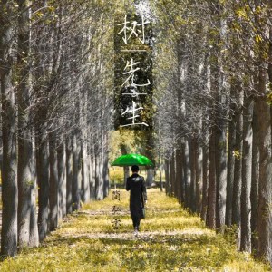 Album Mr. Tree from 简弘亦