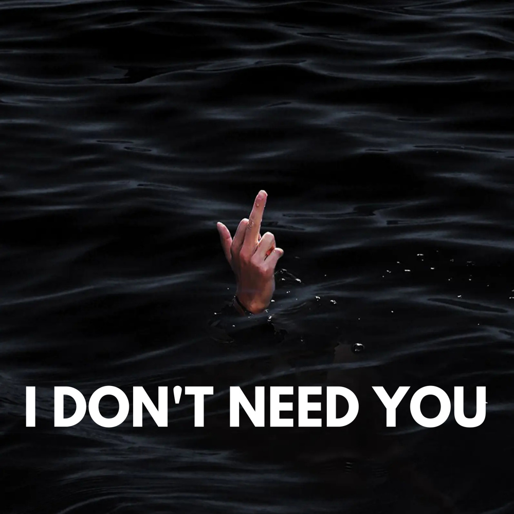 I Don't Need You (Explicit)