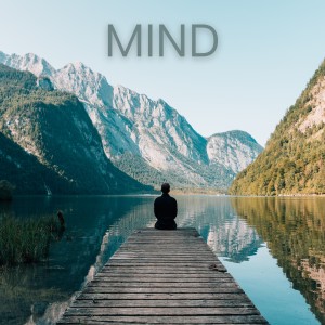 Album Mind oleh Various Artists