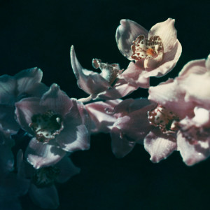 อัลบัม this is what love is ศิลปิน Chad Lawson