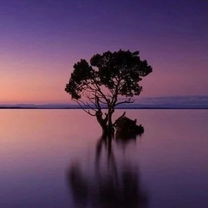 Listen to 你爱自由胜过爱我（原版） (原版) song with lyrics from 不跑调
