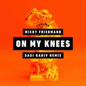 Micky Friedmann的专辑On My Knees (Sagi Kariv Remix)