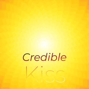 Various的专辑Credible Kiss