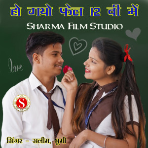 Listen to Ho Gayo Fel 12V Me song with lyrics from Saleem