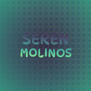 收听Flover Zain的Seren Molinos歌词歌曲
