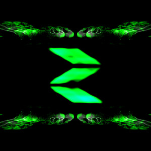 Listen to Turtlebass song with lyrics from Zanga