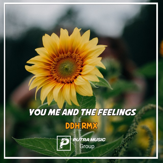 Album You Me And The Feelings (Remix) oleh Ddh Rmx