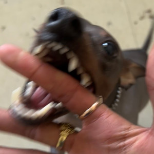 Gyatso的專輯FINALLY SOME MUSIC