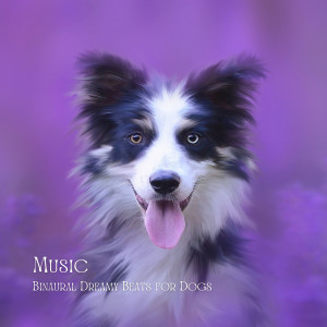 Sleeping Music For Dogs的专辑Music: Binaural Dreamy Beats for Dogs