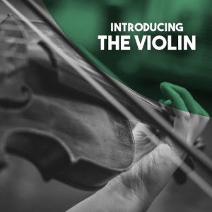 收听Moscow RTV Symphony Orchestra的Violin Concerto In D Minor, Op. 47: III. Allegro, ma non tanto歌词歌曲