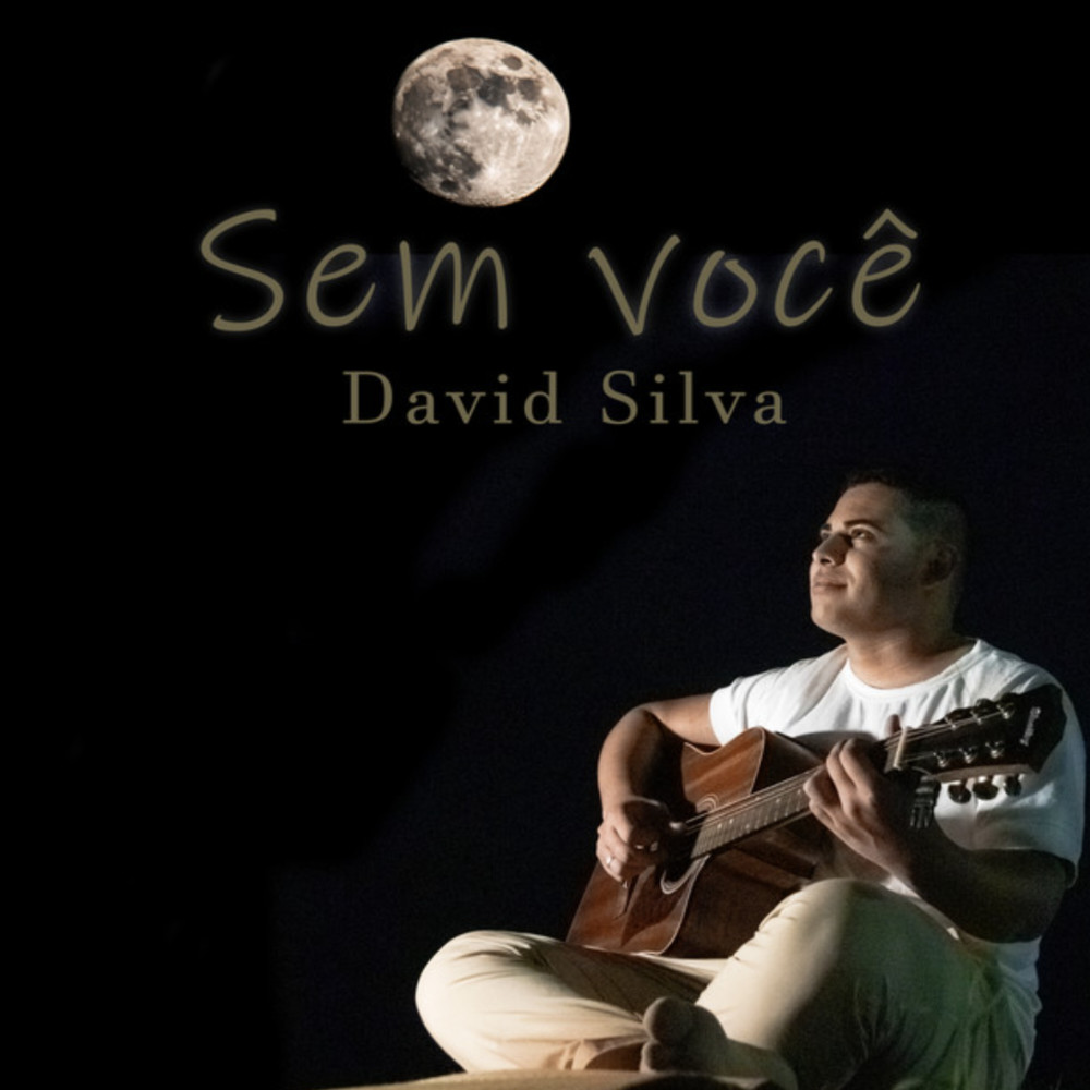 Sem Você