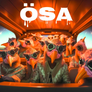 อัลบัม ÖSA (Sped Up) ศิลปิน Raaban