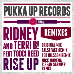 Album Rise Up (What Can I Do?) from Ridney