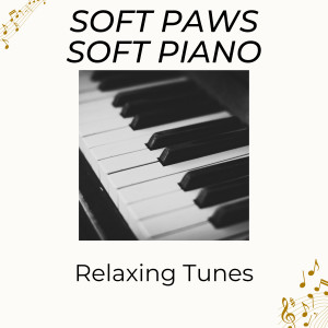 Soft Paws Soft Piano: Relaxing Tunes