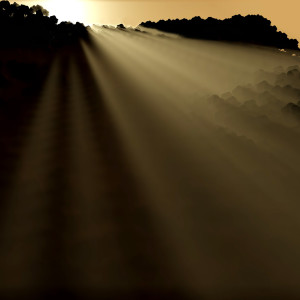 Listen to For Lisa song with lyrics from Tony Woollard