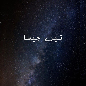 收聽Khalid Khan的Tere Jaisa歌詞歌曲