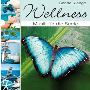 Album Wellness - Musik für die Seele from Korte