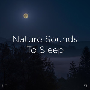 ดาวน์โหลดและฟังเพลง Piano Nature Sounds พร้อมเนื้อเพลงจาก Deep Sleep
