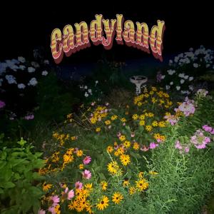AF13的專輯Candyland
