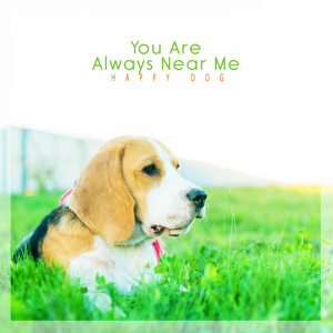 收聽행복한 강아지的내 곁에 항상 있는 너 (Puppy Ver.)歌詞歌曲