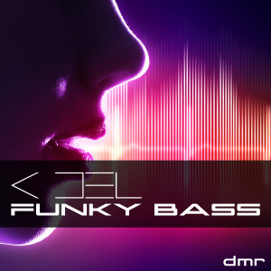 Dengarkan lagu Funky Bass nyanyian K-Del dengan lirik