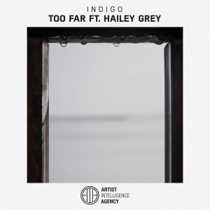 อัลบัม Too Far - Single ศิลปิน Hailey Grey
