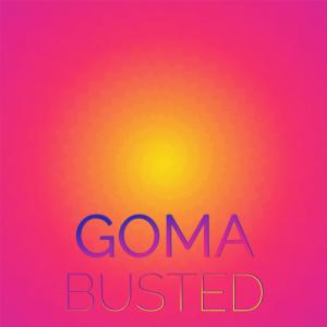 Various Artists的專輯Goma Busted