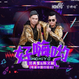 Listen to 好嗨哟-我家里有矿-盘他 song with lyrics from 范亮星