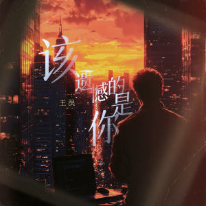 Listen to 该遗憾的是你 song with lyrics from 王淏