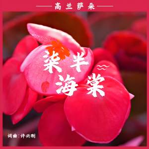 Listen to 七半海棠 (伴奏) song with lyrics from 高兰萨朵