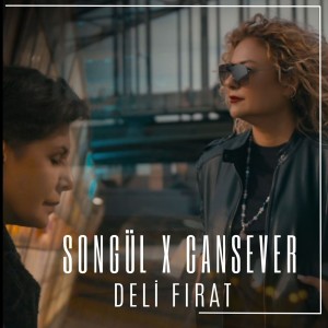 Listen to Deli Fırat song with lyrics from Songül Barış