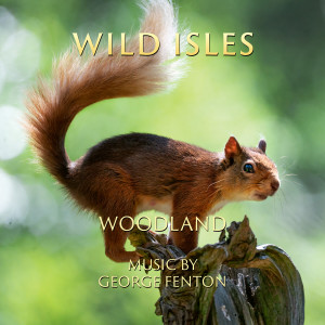 Album Wild Isles: Woodland (Music from the Original TV Series) from George Fenton