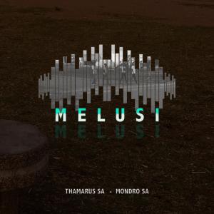 ดาวน์โหลดและฟังเพลง Melusi (feat. Mondro SA) พร้อมเนื้อเพลงจาก Thamarus SA